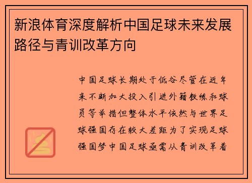 新浪体育深度解析中国足球未来发展路径与青训改革方向